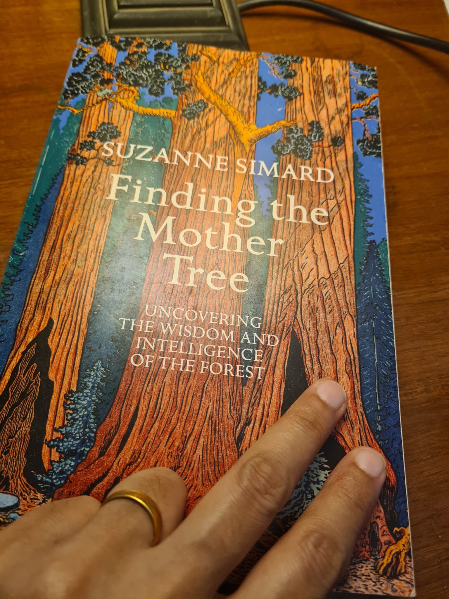 finding-the-mother-tree-uncovering-the-wisdom-and-intelligence-of-the